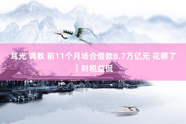 耳光 调教 前11个月场合借款8.7万亿元 花哪了︱财税益侃