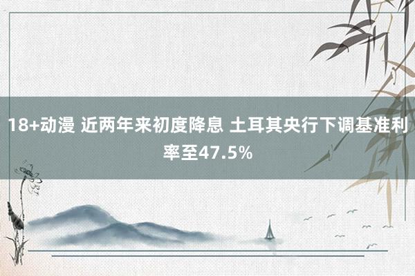 18+动漫 近两年来初度降息 土耳其央行下调基准利率至47.5%