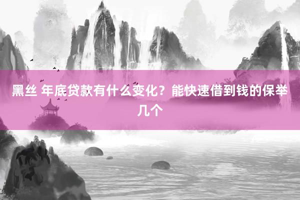 黑丝 年底贷款有什么变化？能快速借到钱的保举几个