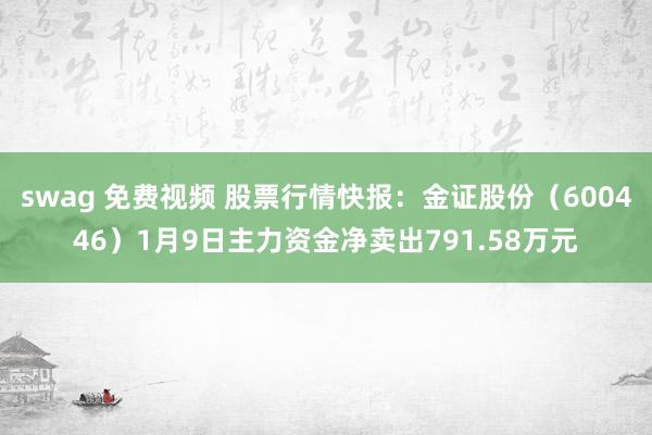 swag 免费视频 股票行情快报：金证股份（600446）1月9日主力资金净卖出791.58万元