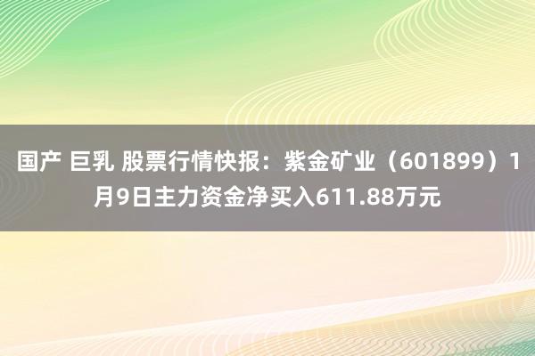 国产 巨乳 股票行情快报：紫金矿业（601899）1月9日主力资金净买入611.88万元