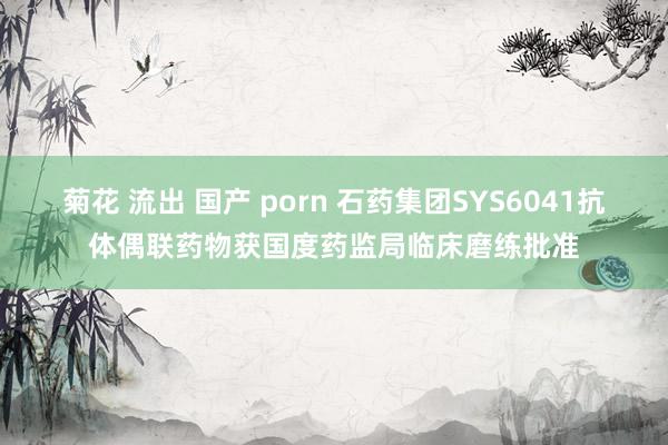 菊花 流出 国产 porn 石药集团SYS6041抗体偶联药物获国度药监局临床磨练批准