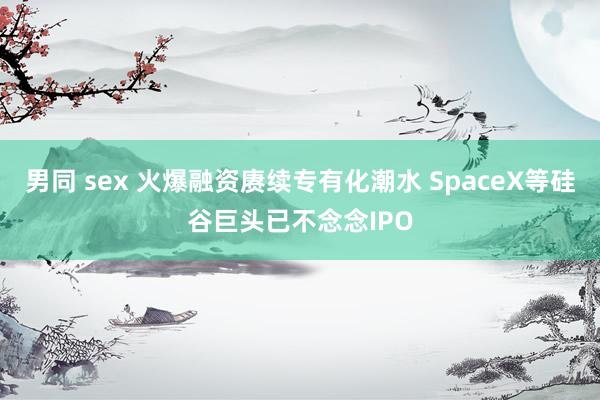 男同 sex 火爆融资赓续专有化潮水 SpaceX等硅谷巨头已不念念IPO