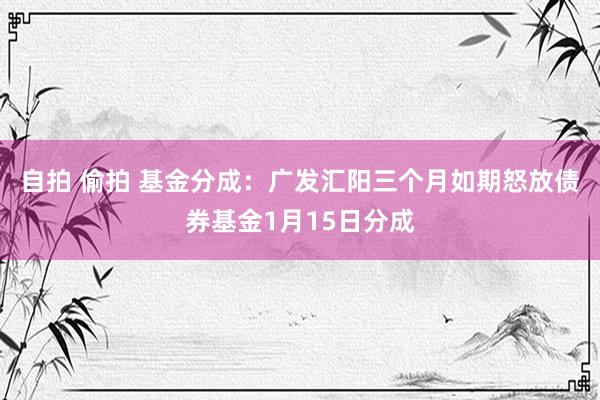 自拍 偷拍 基金分成：广发汇阳三个月如期怒放债券基金1月15日分成