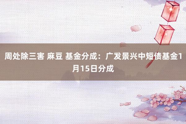 周处除三害 麻豆 基金分成：广发景兴中短债基金1月15日分成