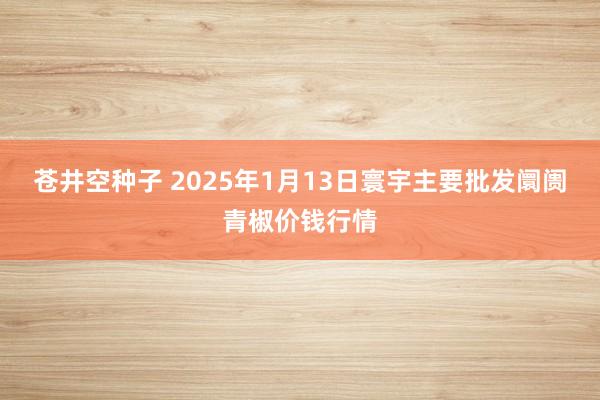 苍井空种子 2025年1月13日寰宇主要批发阛阓青椒价钱行情