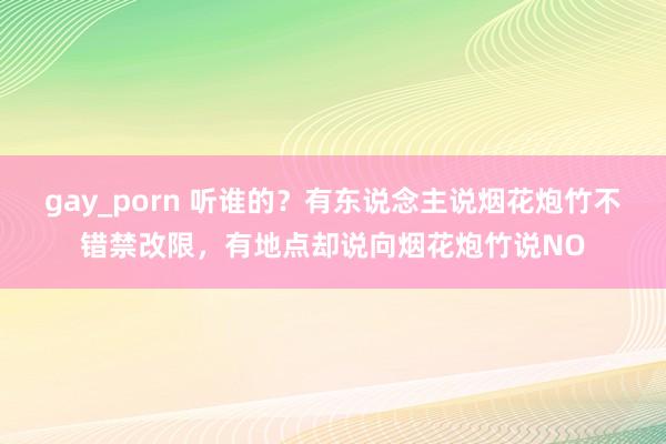 gay_porn 听谁的？有东说念主说烟花炮竹不错禁改限，有地点却说向烟花炮竹说NO