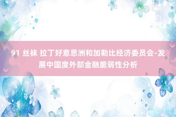 91 丝袜 拉丁好意思洲和加勒比经济委员会-发展中国度外部金融脆弱性分析