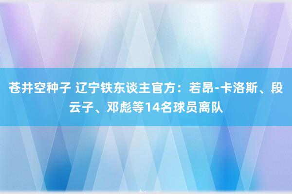 苍井空种子 辽宁铁东谈主官方：若昂-卡洛斯、段云子、邓彪等14名球员离队