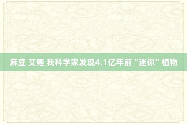 麻豆 艾鲤 我科学家发现4.1亿年前“迷你”植物