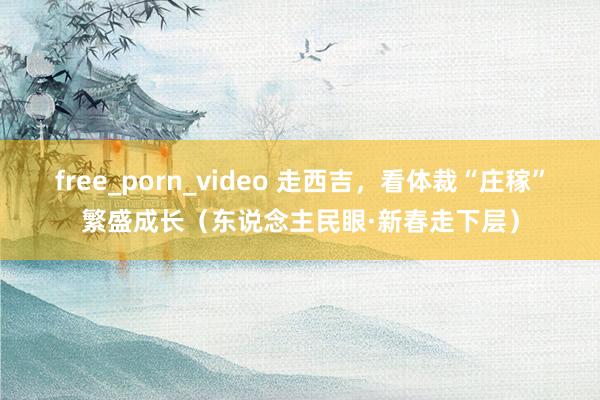 free_porn_video 走西吉，看体裁“庄稼”繁盛成长（东说念主民眼·新春走下层）